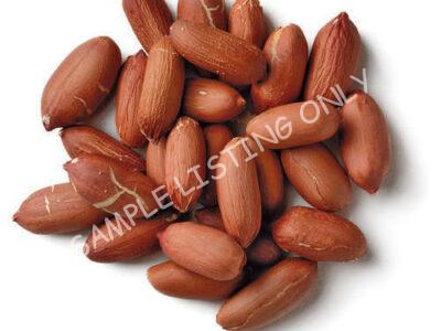 Raw Mozambique Groundnuts