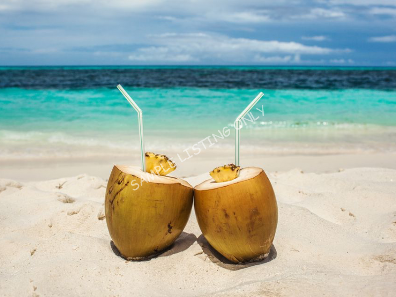 Fresh Mozambique Coconut