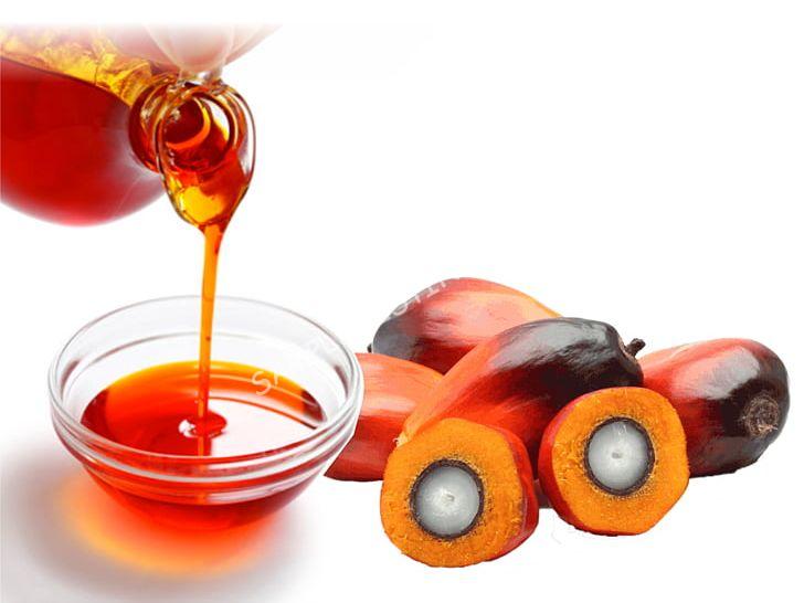 Pure Mozambique Palm Oil