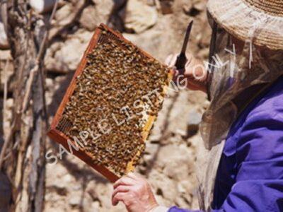 Pure Mozambique Honey